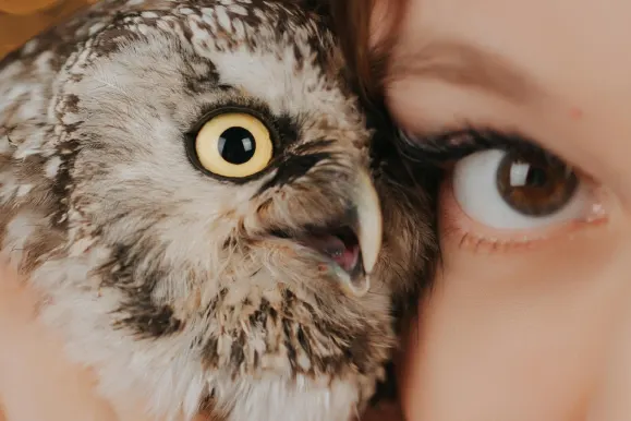 Casino Fever Bingo Soporte